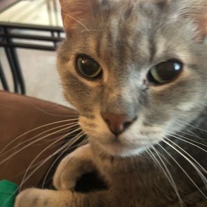 Meet your Posher, Janet